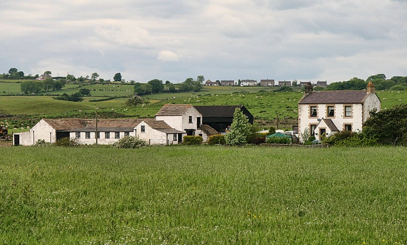 File:Burfoot Leazes - geograph.org.uk - 2232667.jpg