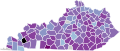 Map of the outbreak in Kentucky by confirmed new infections per 100,000 people over 14 days (last updated March 2021)   1,000+   500–1,000   200–500   100–200   50–100   20–50   10–20   0–10   No confirmed new cases or no/bad data