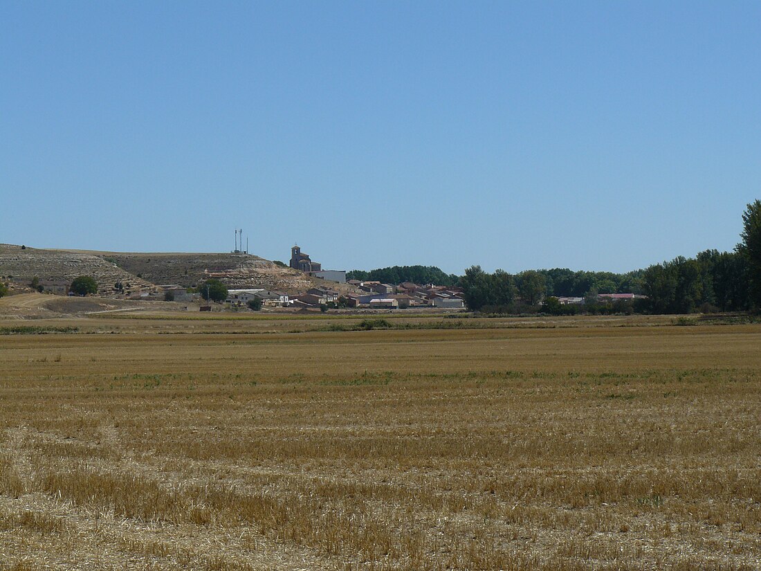 Cabañes de Esgueva (munisipyo)