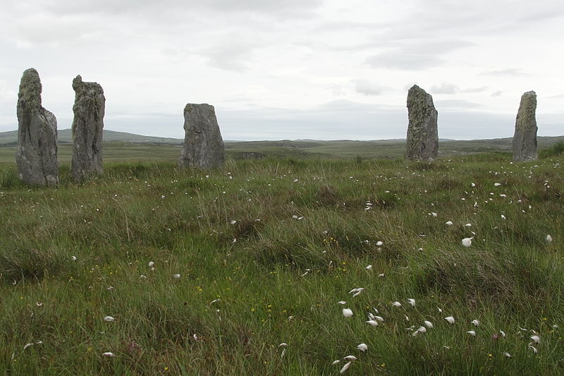 File:Callanish IV.JPG