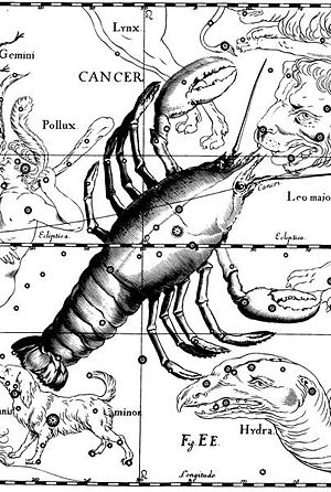 Constelación Cáncer: Características destacables, Estrellas principales, Objetos de cielo profundo