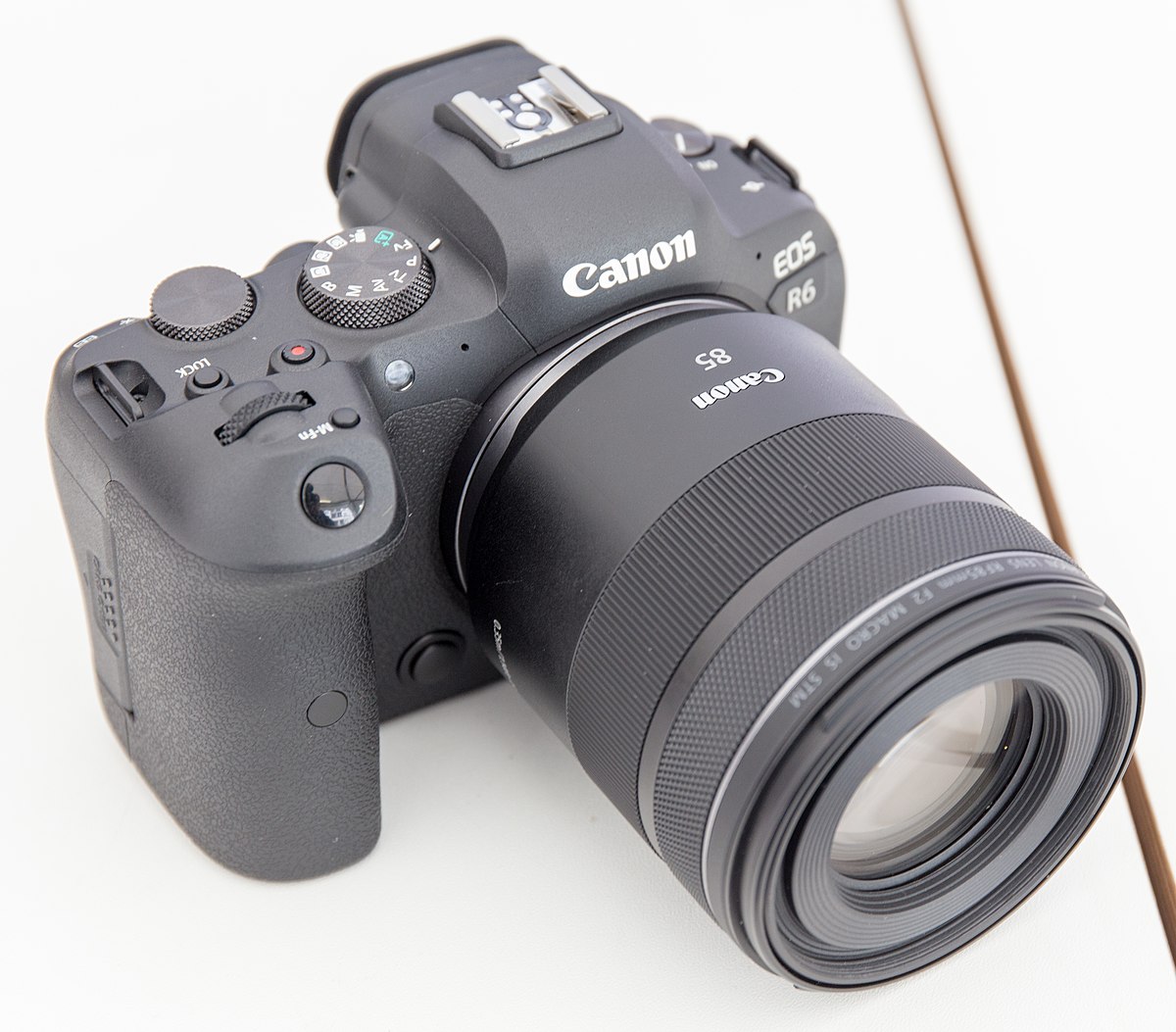 Canon EOS R6: price, specs, release date revealed - Camera Jabber