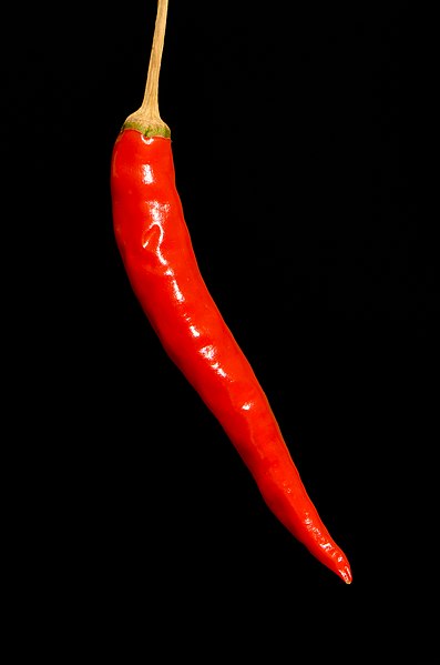 File:Capsicum - red chili chilli - piment rouge - roter Chili 01.jpg