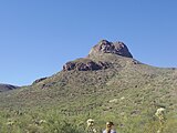 West Saguaro National Park around Sombrero Mountain near Tucson, Arizona in November 2016.