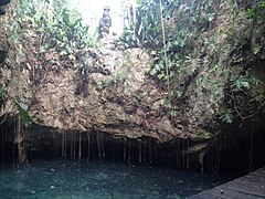 Cenote Calimba.jpg