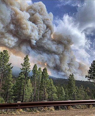 <span class="mw-page-title-main">Cerro Pelado Fire</span> Wildfire in New Mexico