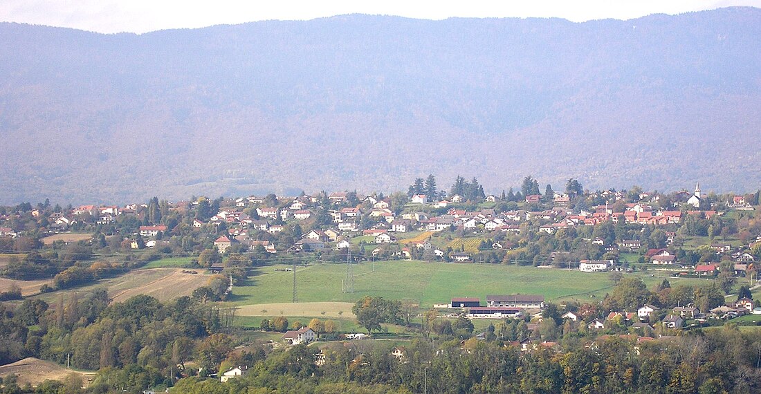 Շալե (Էնի գավառ)