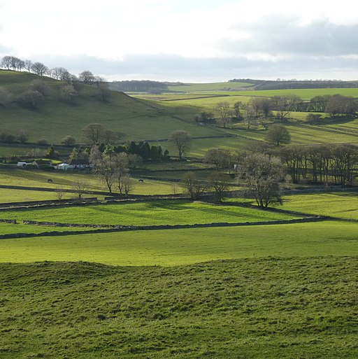 Chelmorton fields - geograph.org.uk - 3245291