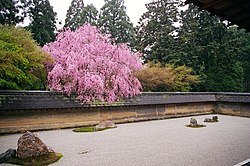 龍安寺嗰庭園