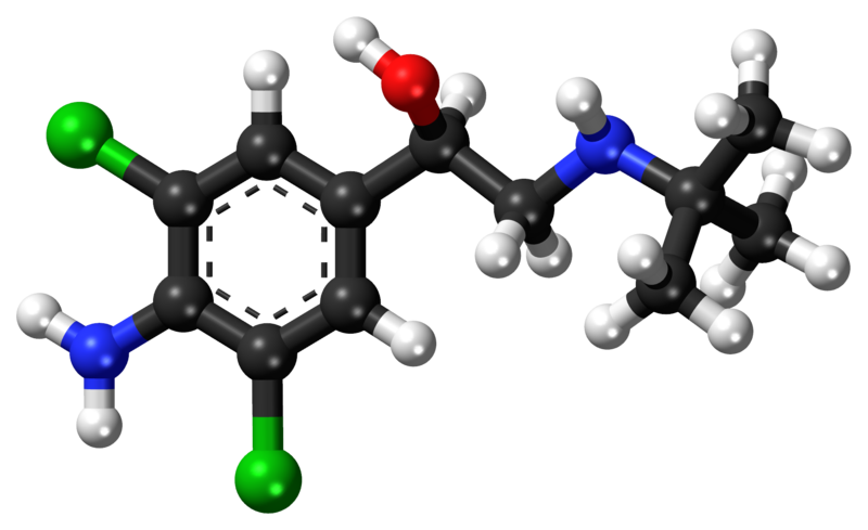 File:Clenbuterol ball-and-stick model.png