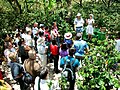 A coffee plantation tour.