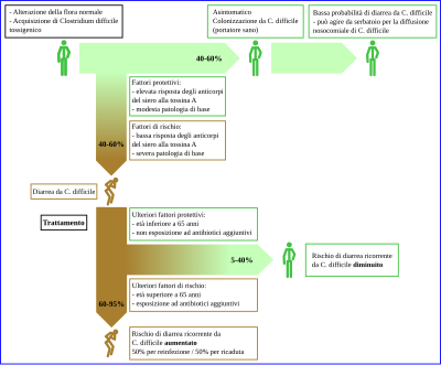 Évolution de l'infection à Clostridioides difficile