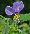 in Hyderabad, India