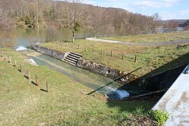 Confluent de l'Arot avec la Moselle à Pierre-la-Treiche.