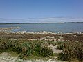 Thumbnail for Coorong National Park