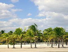 Las playas de Florida son muy famosas y una de sus fuentes de ingresos por el turismo.