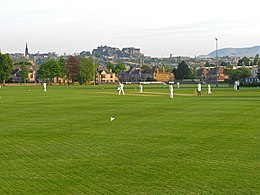 Cricket bij Ferry Road (5797191253).jpg