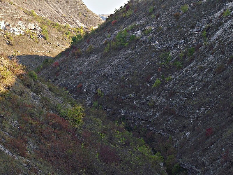 File:Criuleni District, Moldova - panoramio (24).jpg