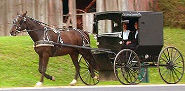 Typical black buggy of the Holmes County Amish in Ohio