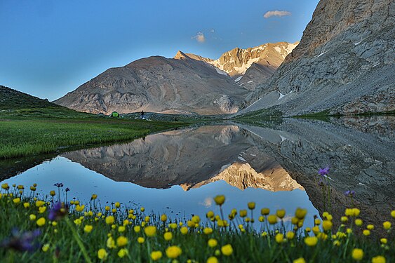 Mountain flowers and Karagöl User:Rotadefterim