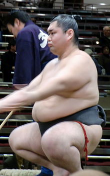 Daimanazuru 2010 leden.JPG