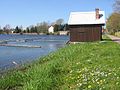 Deetzer lake/Teich, 57 hectare/Hektar (Nördliche Nuthe)