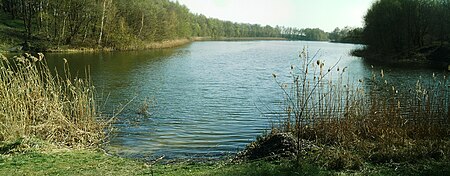 Demenzsee