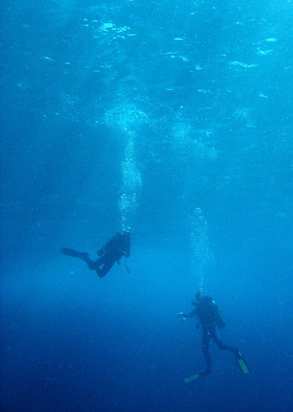 File:Diving safety stop.jpg