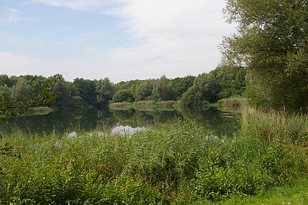 Domäne Stolzenau, Leese