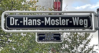 Dr.-Hans-Mosler-Weg, Düsseldorf-Oberkassel.jpg