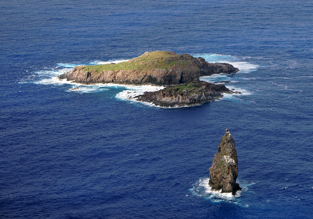 Tangata manu