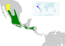 Eugenes fulgens map 2.svg