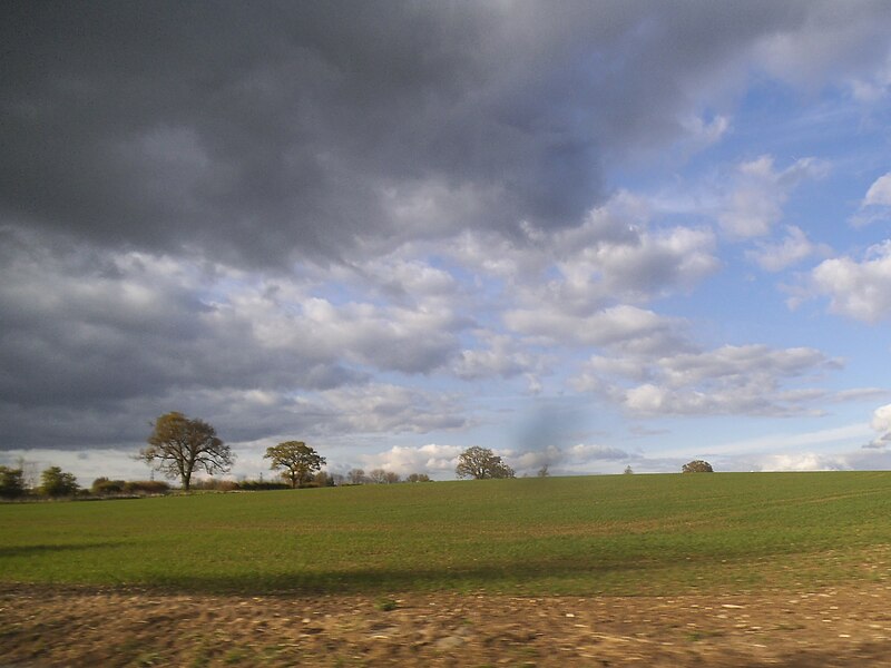 File:Field by Little London Hill - geograph.org.uk - 5360705.jpg