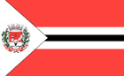 Bandeira de Dionísio