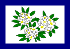 西弗吉尼亚州州旗 (1905–07)