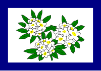 Флаг Западной Вирджинии (1905–1907) .svg