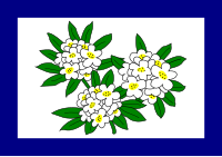 Drapeau de la Virginie-Occidentale (1905-1907).svg