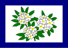 Flag of West Virginia (1905-1907).