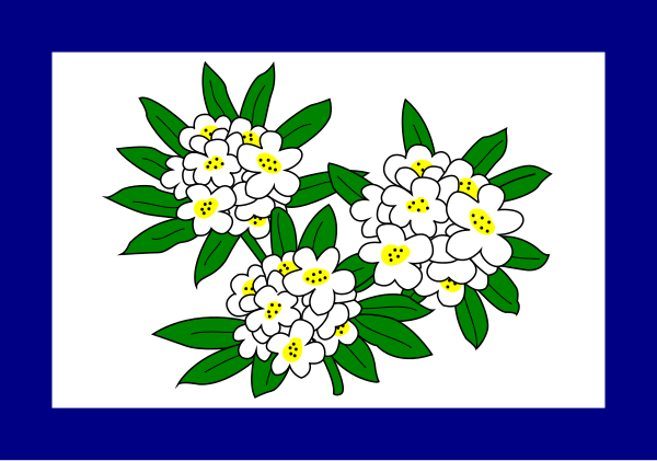File:Flag of West Virginia (1905–1907).svg