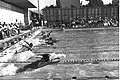 Flickr - Government Press Office (GPO) - The 100 m backstroke competition.jpg