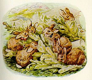 Flopsy-bunnies-image009.jpg