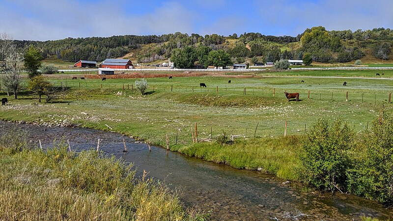 File:Florida River near Durango airport.jpg