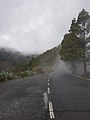 Foggy Road at Caldera de Los Marteles.jpg