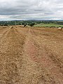 Footpath near Townsend Farm - geograph.org.uk - 542743.jpg