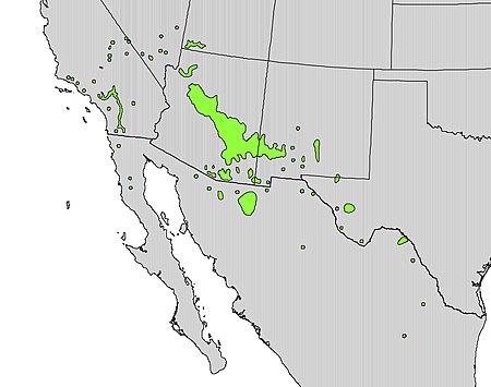 Fraxinus velutina range map.jpg