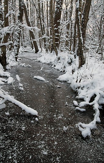 Frozen stream in Enäjärvi, Pori, Finland