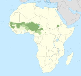 Diffusion de la langue peule en Afrique.