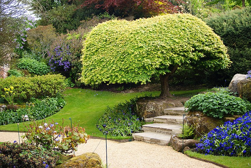 File:Garden at Hever Castle, Kent - geograph.org.uk - 1872920.jpg