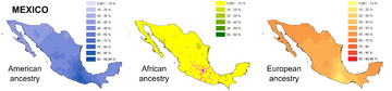 Geographic ancestry distribution of Mexico