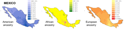 Regional variation of ancestry according to a study made by Ruiz-Linares in 2014, each dot represents a volunteer, with most coming from south Mexico and Mexico City. Geographic ancestry distribution of Mexico.png